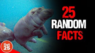 25 Astonishing Random Facts That Will Leave You in Awe [upl. by Chap]