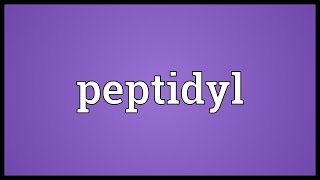 Peptidyl Meaning [upl. by Marthe]