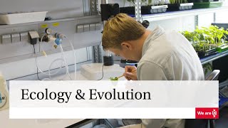 Master  Ecology amp Evolution  University of Amsterdam [upl. by Carmine]