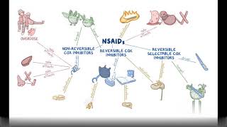 Non Steroidal Anti Inflammatory Drugs NSAIDs Pharmacology [upl. by Bagger410]