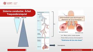 Semana 3 Sesión 4 SINDROMES VENTILATORIOS y BRONQUIALES Dr Suarez [upl. by Muirhead29]