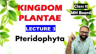 Pteridophyta Kingdom Plantae Lecture 3  Class 11 Biology  Maharashtra State Board [upl. by Abixah]