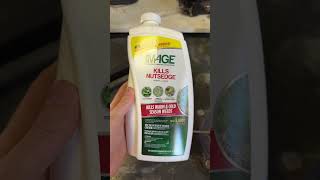 Review Image Herbicide Kills Nutsedge [upl. by Ahsilef]