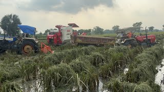 Swaraj 855 4x4 stuck in mud help Swaraj 744 4x4 power 😱💪🔥\akashofficial744 nishudaswal video [upl. by Yrrad]