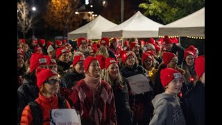 Royal LePage Shelter Foundation Night Light Walk 2024 [upl. by Nannerb]