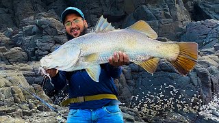 Crazy size Big barramundi Fish from shore  Rod Reel fishing  Indian Barramundi Fish ratnagiri [upl. by Nylram]