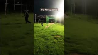 Trial on Malinga action bhojpuri song shortfeed trending cricket malingaforyou netpractice [upl. by Massarelli]