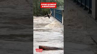 Massives Hochwasser in Niederösterreich am 14092024 hochwasser heavyrain viralvideo flood [upl. by Yngiram]