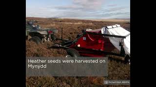 Peatland restoration work by Brecon Beacons National Park Authority [upl. by Yonina]