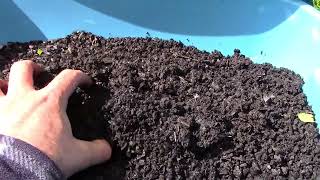 Turn any dirt into topsoil Biochar VLOG 6 2024 [upl. by Anma]