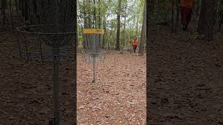 discgolf discgolflife discmania discmaniap3x disclife dangdiscgolf birdie workingmansbirdie [upl. by Annayoj]