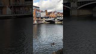 Windsor castle River 🏰 UK travel video viralvideo shortsvideo video love [upl. by Alva139]