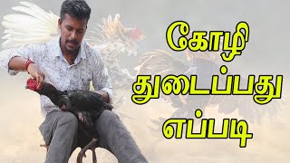 கோழி துடைப்பது எப்படிSEVAL SANDAI TRANING [upl. by Analram]