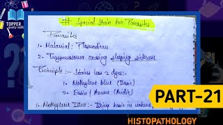 Special stain for parasites  Giemsa stain preparation  Malarial parasite slide preparation [upl. by Harte]