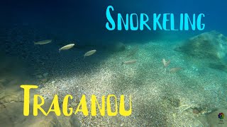 Rhodes Traganou Beach Snorkeling 4K [upl. by Nosreip723]