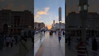 Evening View in Madina Munawara 💚shortvideo youtubeshorts [upl. by Trebornhoj]