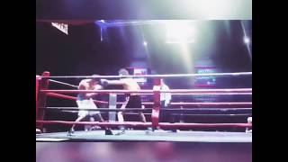 Brandyn Lynch Impressive Knockout [upl. by Greerson]