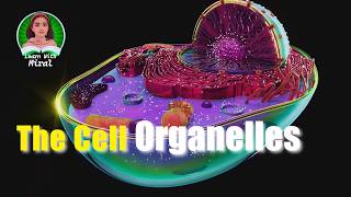 What is Inside The Cell Cell Organelles cellorganelles cellbiology [upl. by Cirenoj]