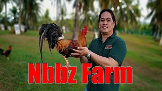 Lets Visit The Farm Of Nbbz Gamefarm [upl. by Tereb]