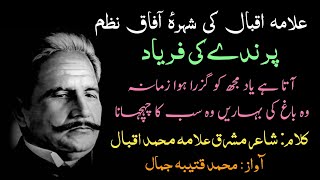 Allama iqbal nazam  Aata hai yad mujhko guzra hua zamana  Qutaiba jamal  Allama iqbal ghazal [upl. by Aplihs]