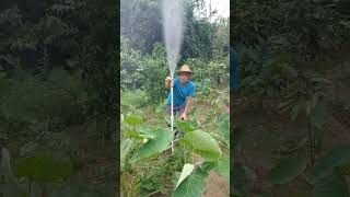 Recommended Agricultural Irrigation Sprinkler with Adjustable Mist Water Spray Head  Helping Ha [upl. by Tudela330]