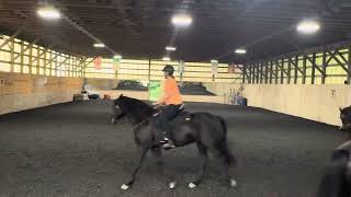 Quadrille Kindful Training [upl. by Quenna]