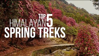 The Top 5 Himalayan Spring Treks You Must Do  Trek Pro Tips With Neha  Indiahikes [upl. by Avigdor]