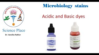 Microbiology Staining dyes II Basic dye and acidic dye [upl. by Rehpinej]