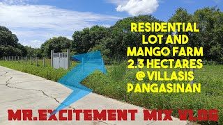 V55 23 Hectares residential lot and manggo farm mrexcitementmixvlog [upl. by Auhsaj794]