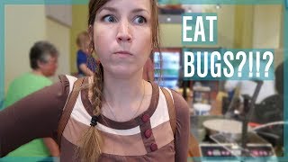 Eating Bugs Insectarium in New Orleans [upl. by Lederer]