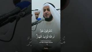 Beautiful Quran Recitation [upl. by Laehcor]