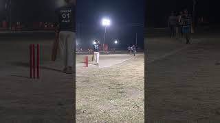 Cricket ke Diwane Gaon ka Josh Aur Junoon Match [upl. by Eesdnil690]