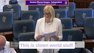 Senator Sharon Keogan — Full Rebuttal of Proposed Hate Speech Bill [upl. by Eseerahs]