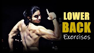 Lower BACK Exercises  Learn about Thoracolumbar Fascia and Erector Spinae  by Abhinav Tonk [upl. by Alrahc]