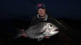 How to catch a mussel cracker  Alikreukel Giant Turban Bait [upl. by Ardnas114]