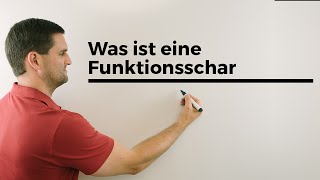 Was ist eine Funktionsschar Teil 2 Parameterfunktion Kurvenschar  Mathe by Daniel Jung [upl. by Ozkum]