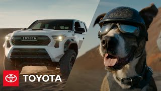 “Celebration”  The 2024 Tacoma  Toyota [upl. by Roxie]