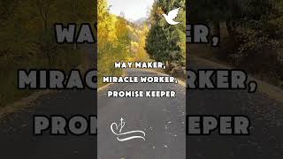 Way Maker By Leeland Video Lyrics shorts short leeland waymaker promisekeeper lyricvideo [upl. by Corydon]