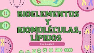 Bioelementos y Biomoléculas Descubre el Mundo de los Lípidos 🌱🔬 [upl. by Sileas]