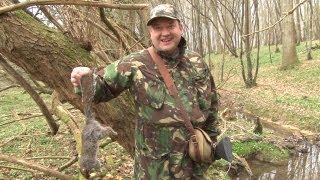 Hunting squirrels with a shotgun in Sussex [upl. by Sugna]