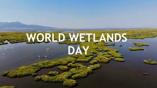 World Wetlands Day 2024 [upl. by Schuh434]