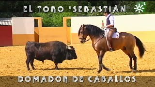 Diego Ventura y el toro Sebastián domador de caballos toreros del rejoneo  Toros desde Andalucía [upl. by Creigh327]