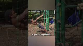 Beginner Front Lever Row Progression shorts calisthenics bodyweight frontlever [upl. by Ylak]