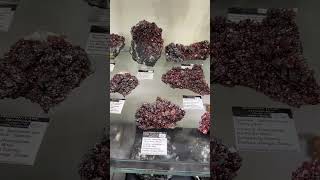 Case 5 Persson Rare Minerals 2024 Tucson Collection at The Mineral City Show [upl. by Hallock]