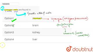 Zymogen cells are found in [upl. by Timmi]