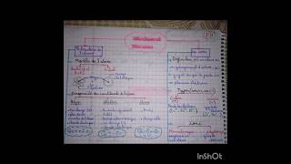 ملخص درس atomes et ions3ac [upl. by Everett]