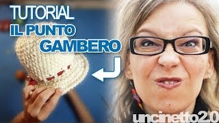 Tutorial uncinetto  Il punto gambero [upl. by Yellehs]