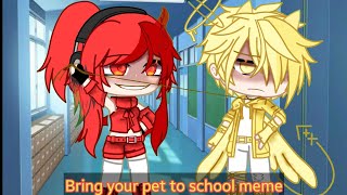 Bring your pet to school memeBright future [upl. by Yelak]