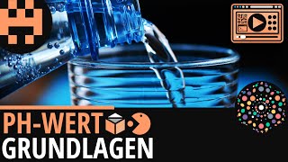 Der pH Wert │Chemie Lernvideo Learning Level Up [upl. by Lindell822]