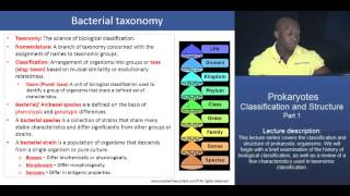 MCAT® Prokaryotes Classification and Structure  Part 1 – Bacterial taxonomy [upl. by Fauver]